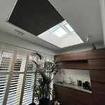 Urban Oasis With Free Parking 阿姆斯特丹