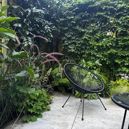 Urban Oasis With Free Parking 4*